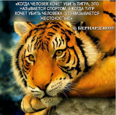 Охота убивать