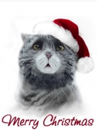 Рождественская катастрофа